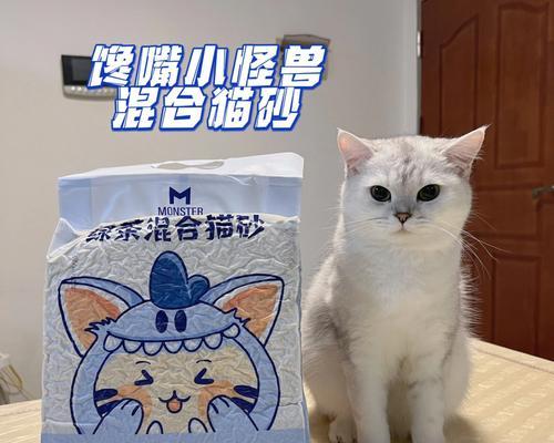 小怪物2萌新玩法攻略指南（探索小怪物2的可爱世界）