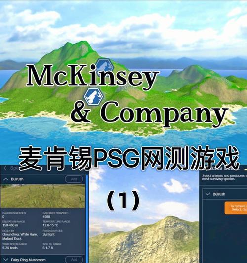 小魔女蕾妮特模拟经营攻略（解锁技巧、经验分享）