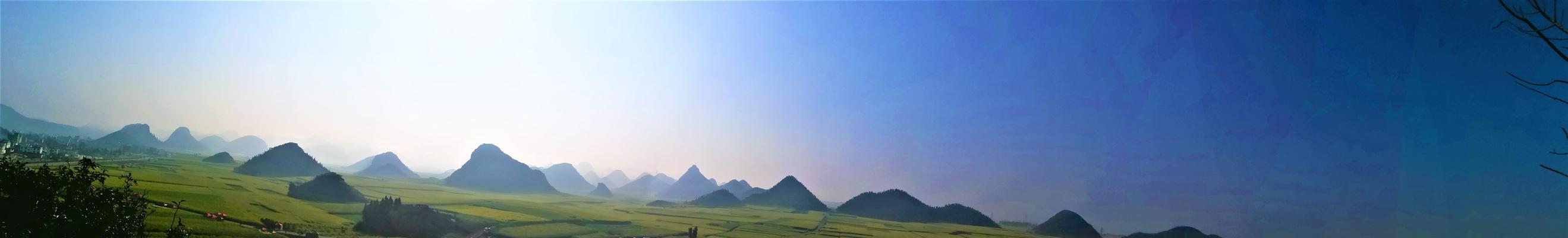 探寻金鸡的小森生活之旅（寻觅金鸡分布的奇妙游戏体验）