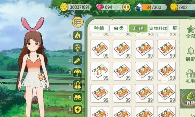 《小森生活收纳箱纸获取指南》（探索游戏中的收纳宝藏）