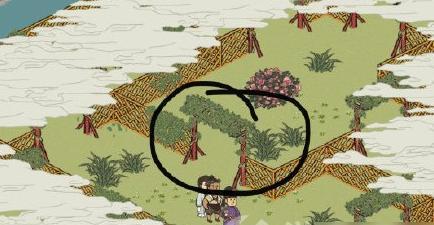 《探索女王后花园的乐趣——以一千克拉女王后花园为例》（发现女王后花园的秘密与乐趣）