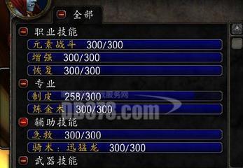 如何正确加点魔兽世界70萨满神器（萨满神器加点攻略）