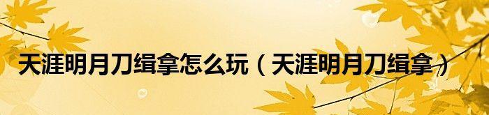 天涯明月刀捕快缉拿玩法攻略？如何快速掌握缉拿技巧？