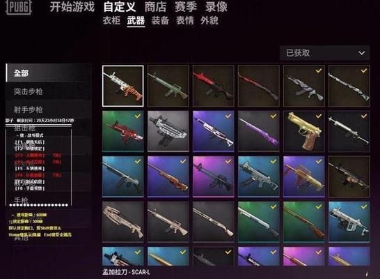 多美卡绝地求生怎么玩的？游戏入门技巧有哪些？
