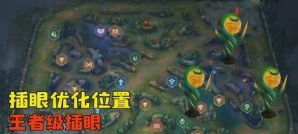 英雄联盟中如何适应不同的视野和视角？有哪些技巧？