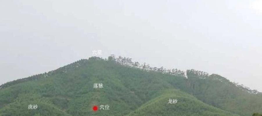彩虹岛中玄武的正确路线是什么？如何顺利到达玄武所在位置？