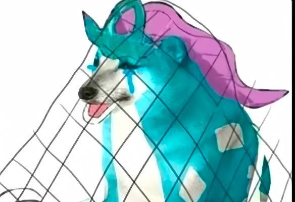 水君捕捉方法及注意事项是什么？