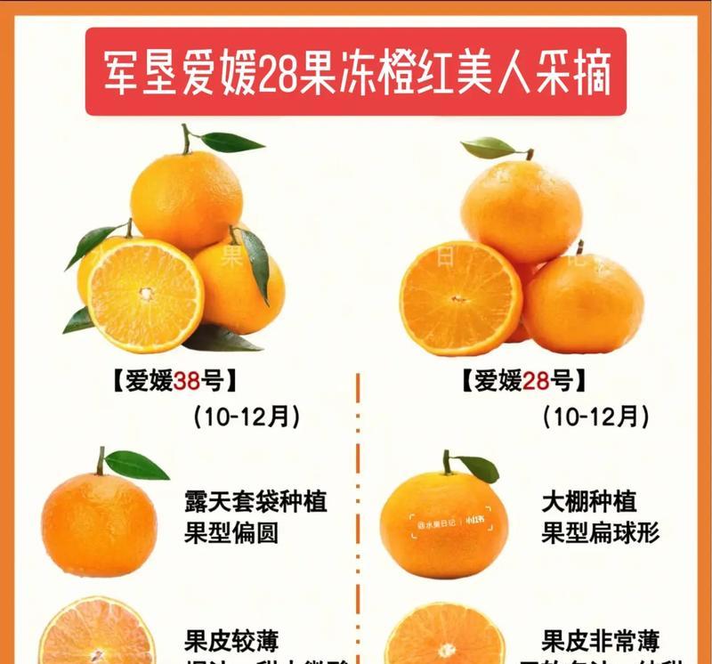 橙装卖出的正确方法是什么？如何获取最高价值？