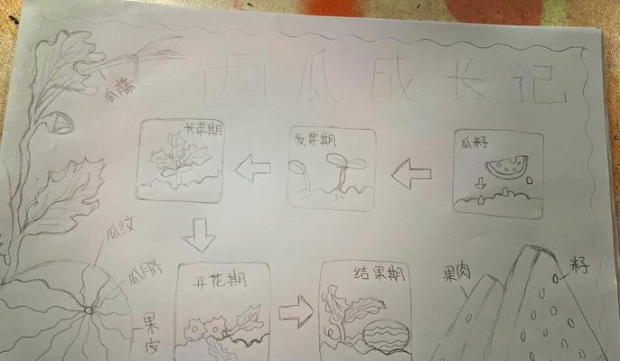 我的世界中西瓜种植的方法是什么？种植西瓜的步骤有哪些？