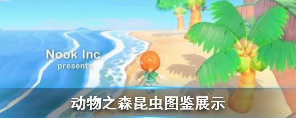 《昆虫捕捉技巧大全》